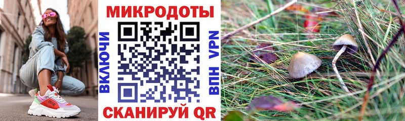 Псилоцибиновые грибы мицелий  shop Telegram  Дедовск 