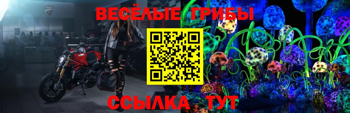 Галлюциногенные грибы Cubensis Дедовск